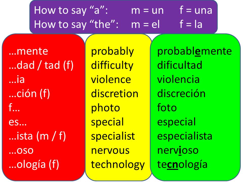 How to say a : m = un f = una