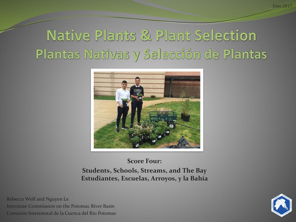 Native Plants & Plant Selection Plantas Nativas y Selección de Plantas