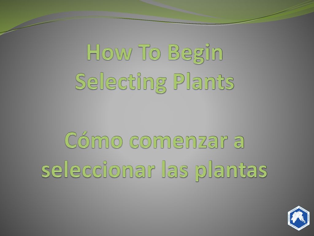 How To Begin Selecting Plants Cómo comenzar a seleccionar las plantas