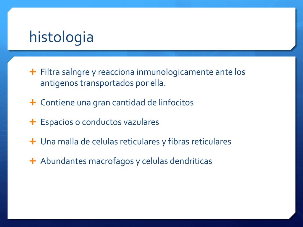 histologia Filtra salngre y reacciona inmunologicamente ante los antigenos transportados por ella.