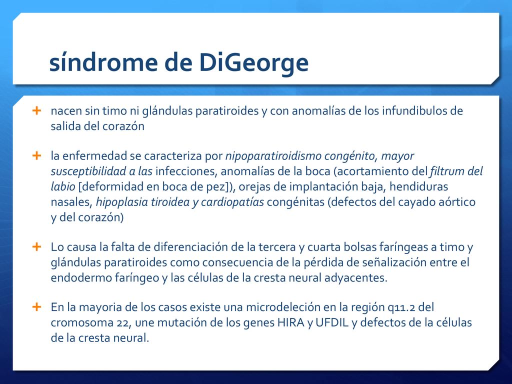 síndrome de DiGeorge nacen sin timo ni glándulas paratiroides y con anomalías de los infundibulos de salida del corazón.