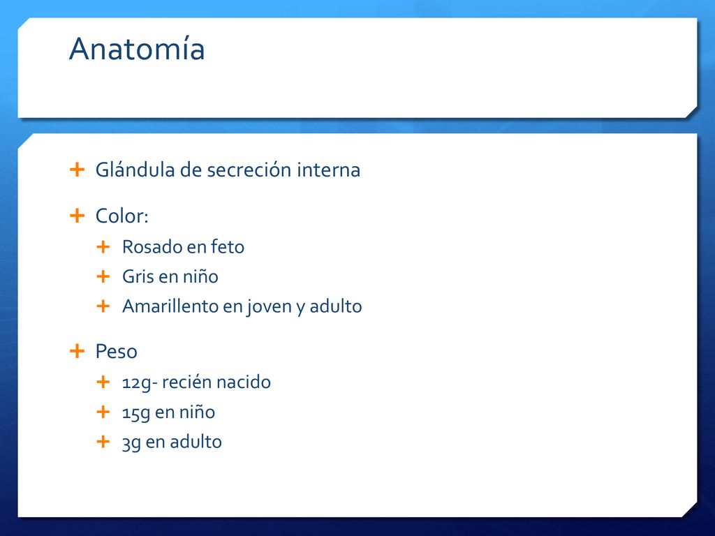 Anatomía Glándula de secreción interna Color: Peso Rosado en feto