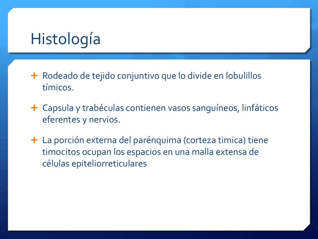 Histología Rodeado de tejido conjuntivo que lo divide en lobulillos tímicos.