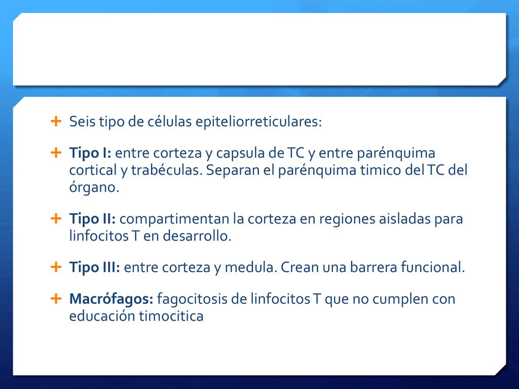 Seis tipo de células epiteliorreticulares: