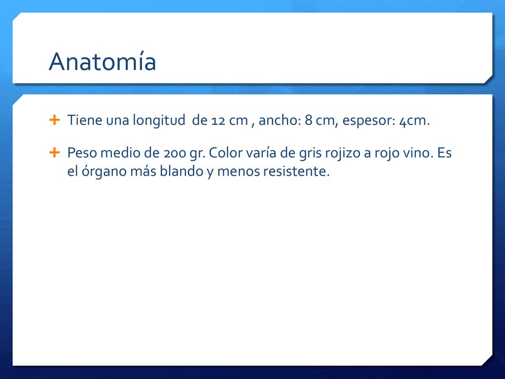 Anatomía Tiene una longitud de 12 cm , ancho: 8 cm, espesor: 4cm.