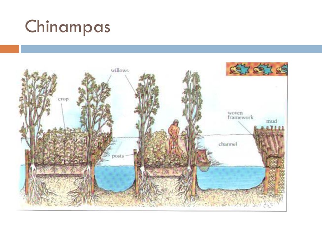 Chinampas