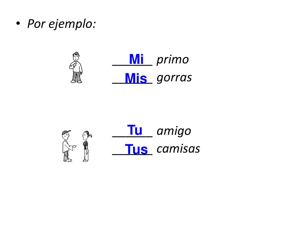 Por ejemplo: ______ primo ______ gorras ______ amigo ______ camisas Mi Mis Tu Tus