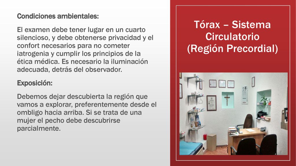 Tórax – Sistema Circulatorio (Región Precordial)