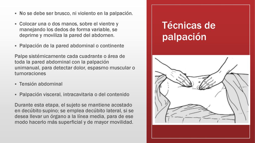 Técnicas de palpación No se debe ser brusco, ni violento en la palpación.