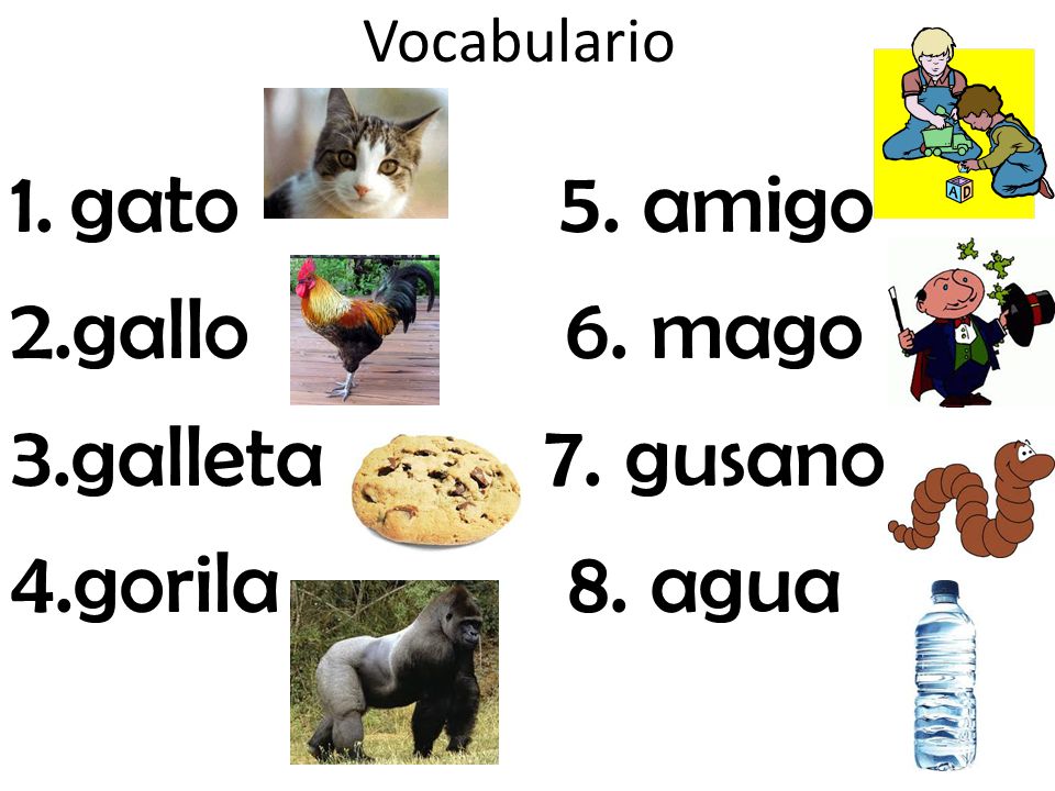 gato 5. amigo gallo 6. mago galleta 7. gusano gorila 8. agua