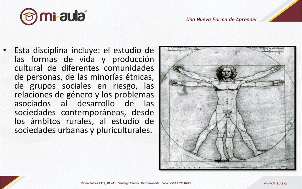Esta disciplina incluye: el estudio de las formas de vida y producción cultural de diferentes comunidades de personas, de las minorías étnicas, de grupos sociales en riesgo, las relaciones de género y los problemas asociados al desarrollo de las sociedades contemporáneas, desde los ámbitos rurales, al estudio de sociedades urbanas y pluriculturales.