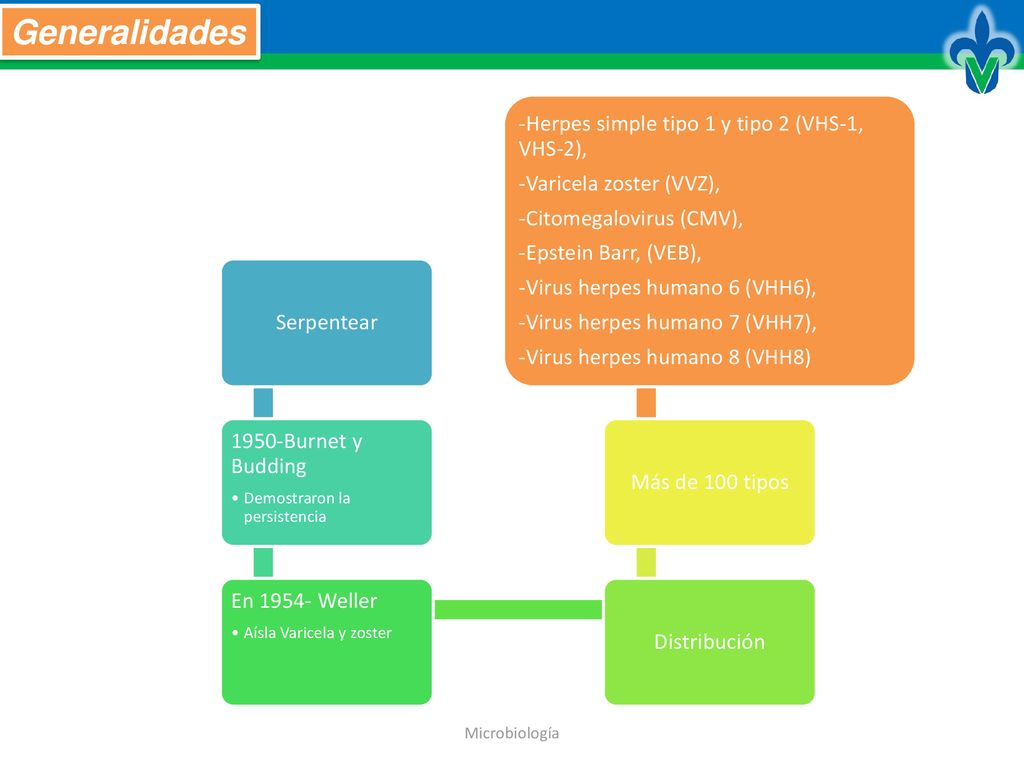 Generalidades -Herpes simple tipo 1 y tipo 2 (VHS-1, VHS-2),