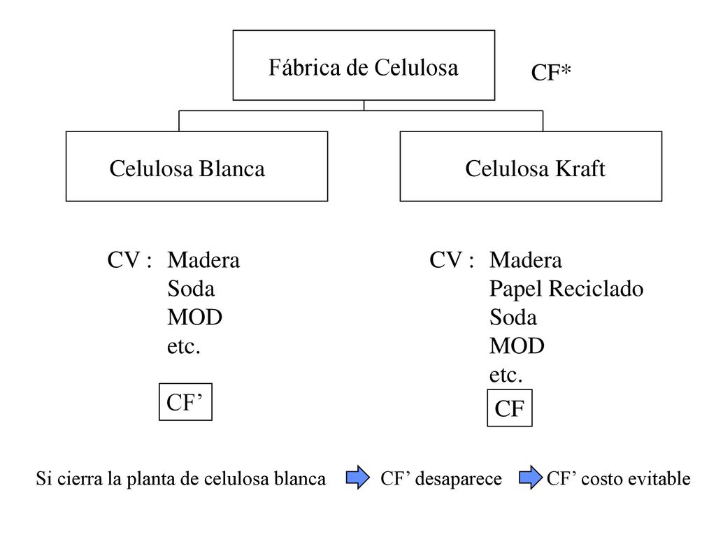 Fábrica de Celulosa CF* Celulosa Blanca Celulosa Kraft CV : Madera