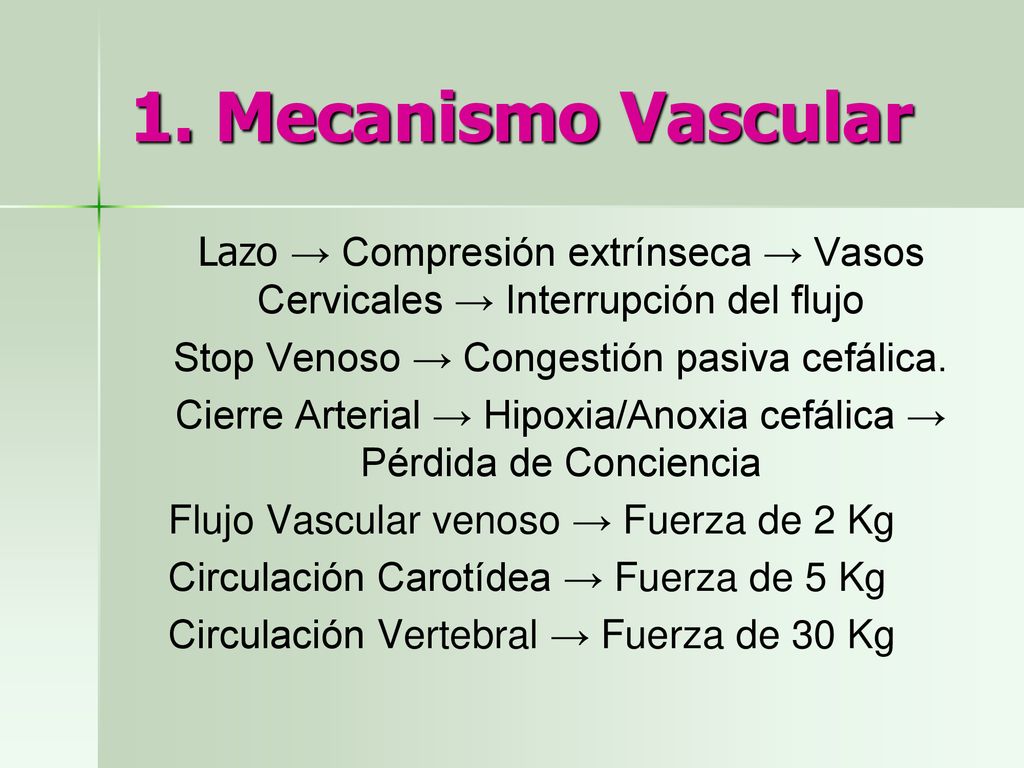 1. Mecanismo Vascular Lazo → Compresión extrínseca → Vasos Cervicales → Interrupción del flujo. Stop Venoso → Congestión pasiva cefálica.