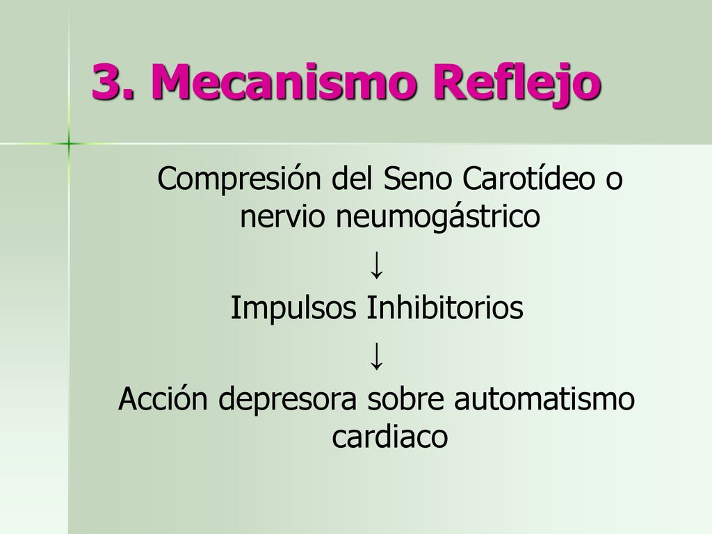 3. Mecanismo Reflejo Compresión del Seno Carotídeo o nervio neumogástrico. ↓ Impulsos Inhibitorios.