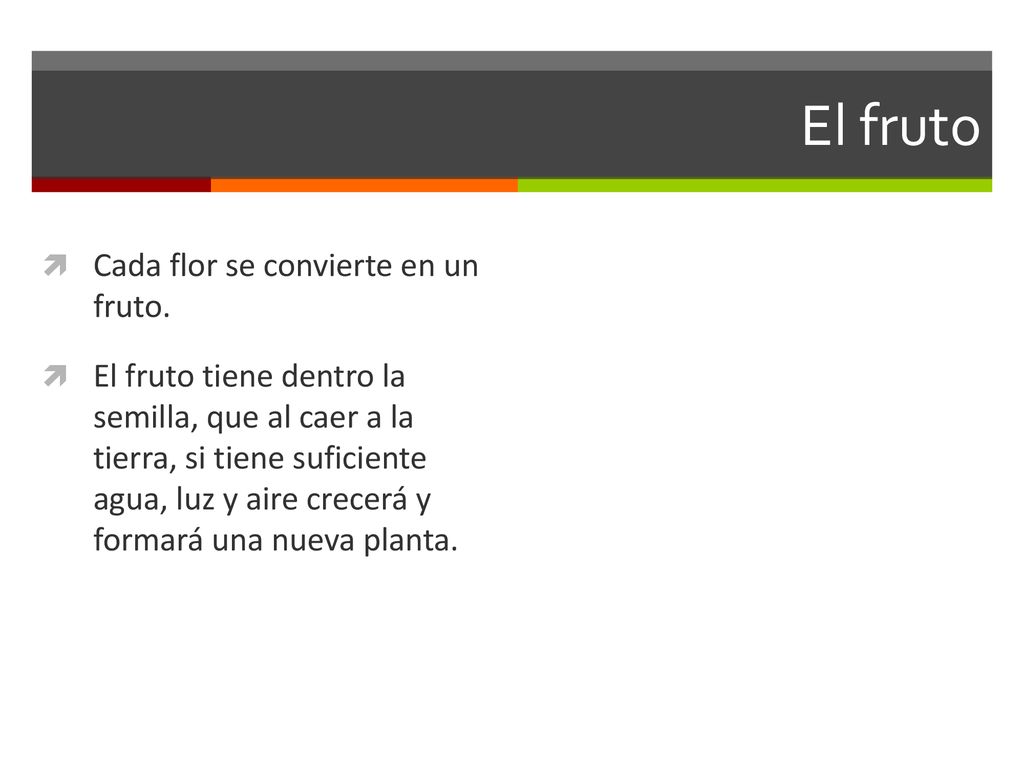 El fruto Cada flor se convierte en un fruto.