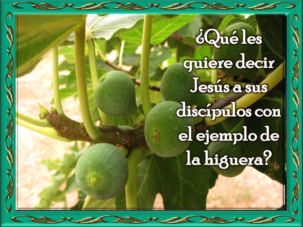 ¿Qué les quiere decir Jesús a sus discípulos con el ejemplo de la higuera
