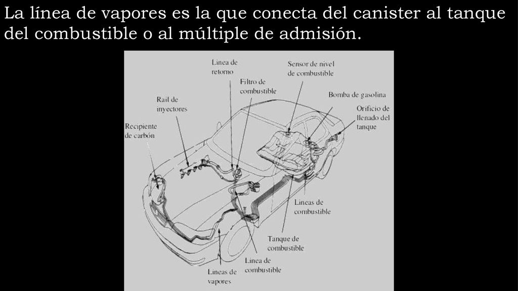 La línea de vapores es la que conecta del canister al tanque del combustible o al múltiple de admisión.