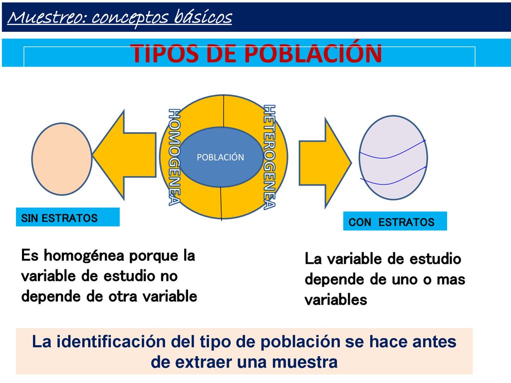 TIPOS DE POBLACIÓN Muestreo: conceptos básicos HETEROGENEA HOMOGENEA