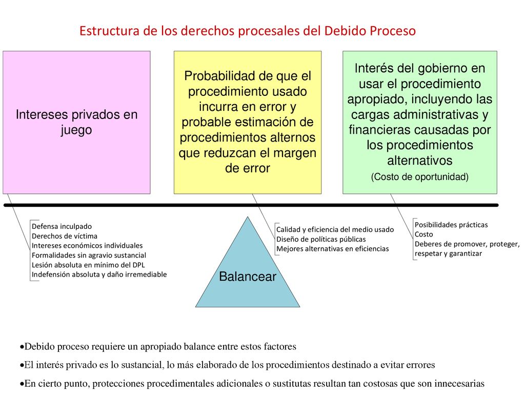 Debido proceso requiere un apropiado balance entre estos factores