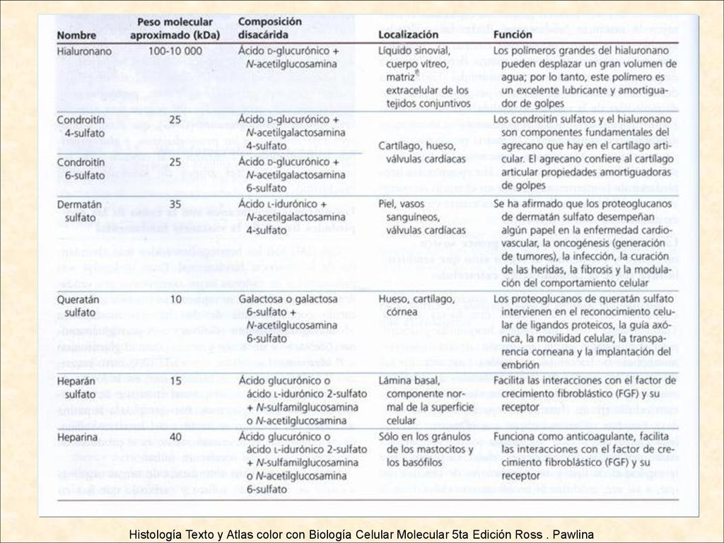 Histología Texto y Atlas color con Biología Celular Molecular 5ta Edición Ross . Pawlina