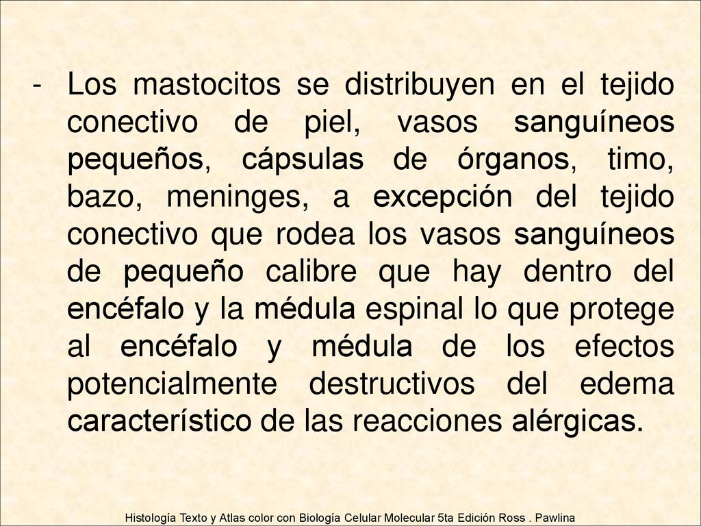 Los mastocitos se distribuyen en el tejido conectivo de piel, vasos sanguíneos pequeños, cápsulas de órganos, timo, bazo, meninges, a excepción del tejido conectivo que rodea los vasos sanguíneos de pequeño calibre que hay dentro del encéfalo y la médula espinal lo que protege al encéfalo y médula de los efectos potencialmente destructivos del edema característico de las reacciones alérgicas.