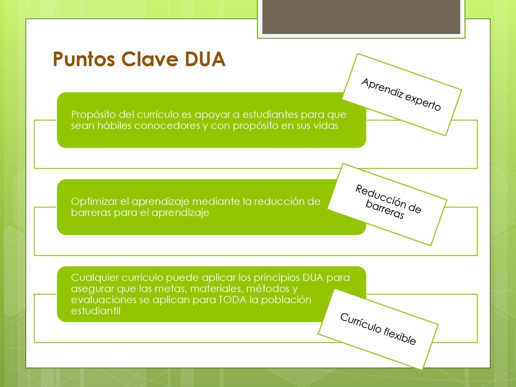 Puntos Clave DUA Aprendiz experto. Propósito del currículo es apoyar a estudiantes para que sean hábiles conocedores y con propósito en sus vidas.