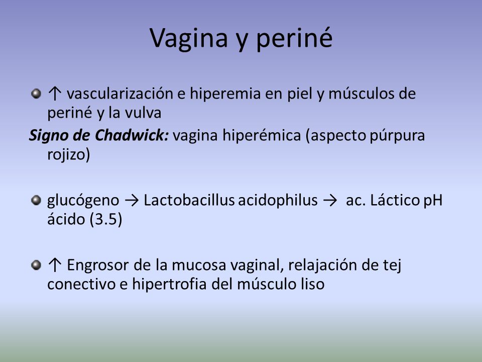 Vagina y periné ↑ vascularización e hiperemia en piel y músculos de periné y la vulva. Signo de Chadwick: vagina hiperémica (aspecto púrpura rojizo)