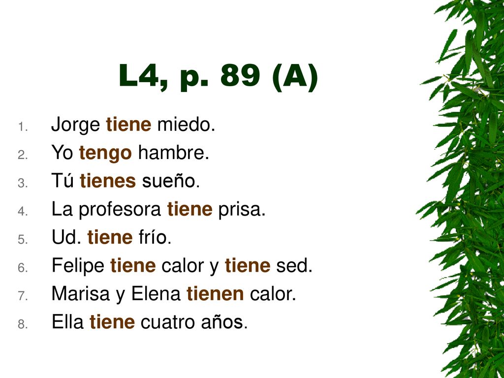 L4, p. 89 (A) Jorge tiene miedo. Yo tengo hambre. Tú tienes sueño.
