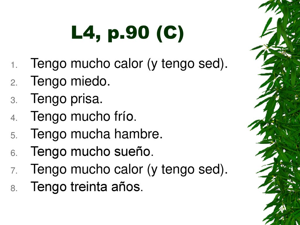 L4, p.90 (C) Tengo mucho calor (y tengo sed). Tengo miedo.