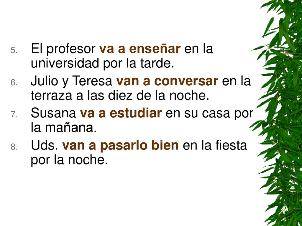 El profesor va a enseñar en la universidad por la tarde.