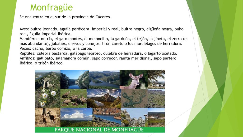 Monfragüe Se encuentra en el sur de la provincia de Cáceres.