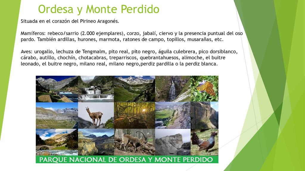 Ordesa y Monte Perdido Situada en el corazón del Pirineo Aragonés.