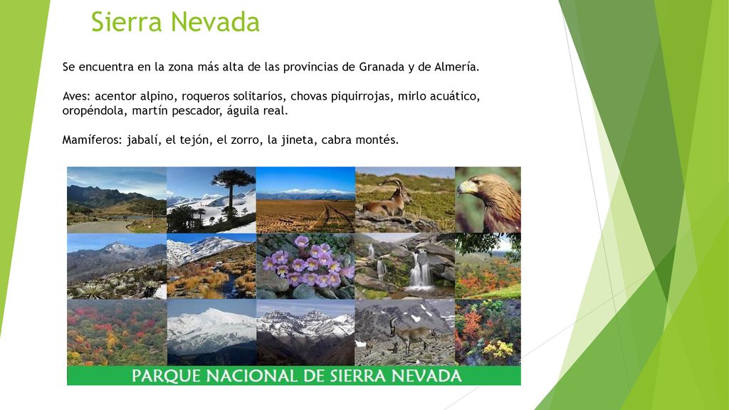 Sierra Nevada Se encuentra en la zona más alta de las provincias de Granada y de Almería.