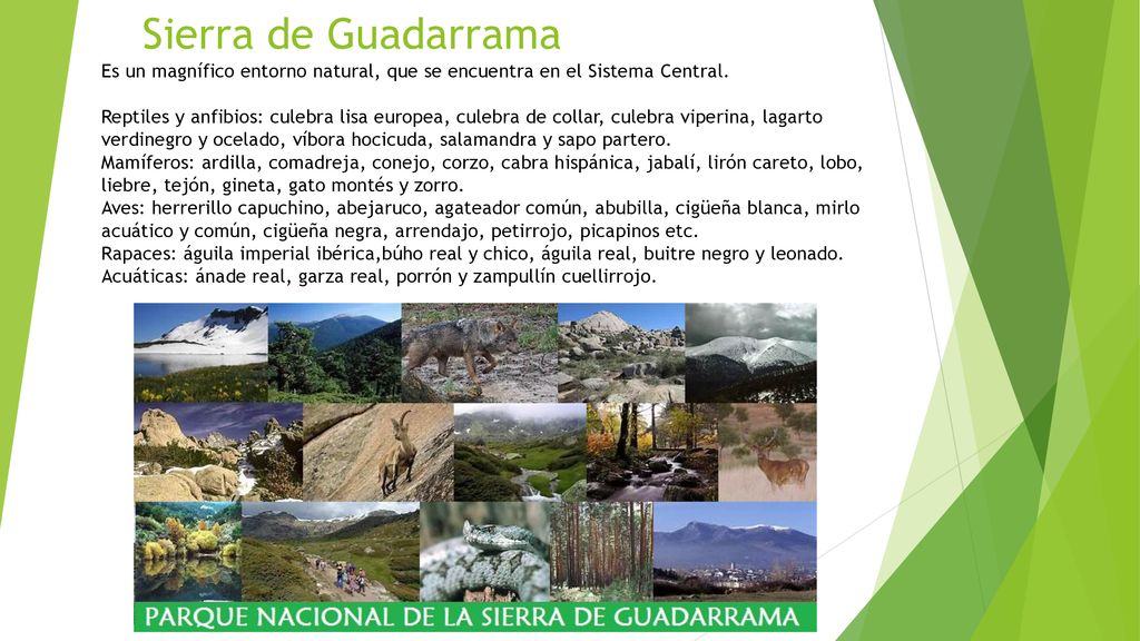 Sierra de Guadarrama Es un magnífico entorno natural, que se encuentra en el Sistema Central.