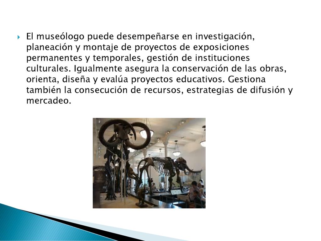 El museólogo puede desempeñarse en investigación, planeación y montaje de proyectos de exposiciones permanentes y temporales, gestión de instituciones culturales.