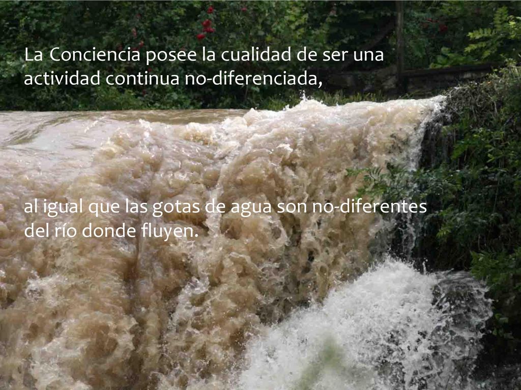La Conciencia posee la cualidad de ser una actividad continua no-diferenciada,