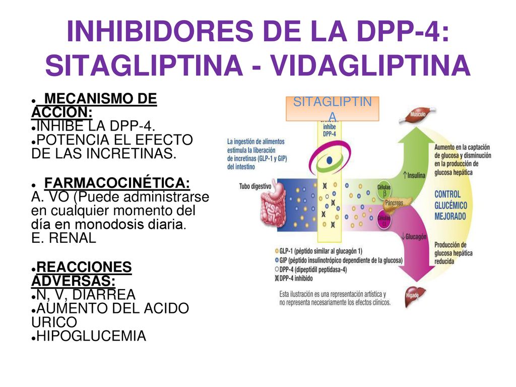 INHIBIDORES DE LA DPP-4: SITAGLIPTINA - VIDAGLIPTINA