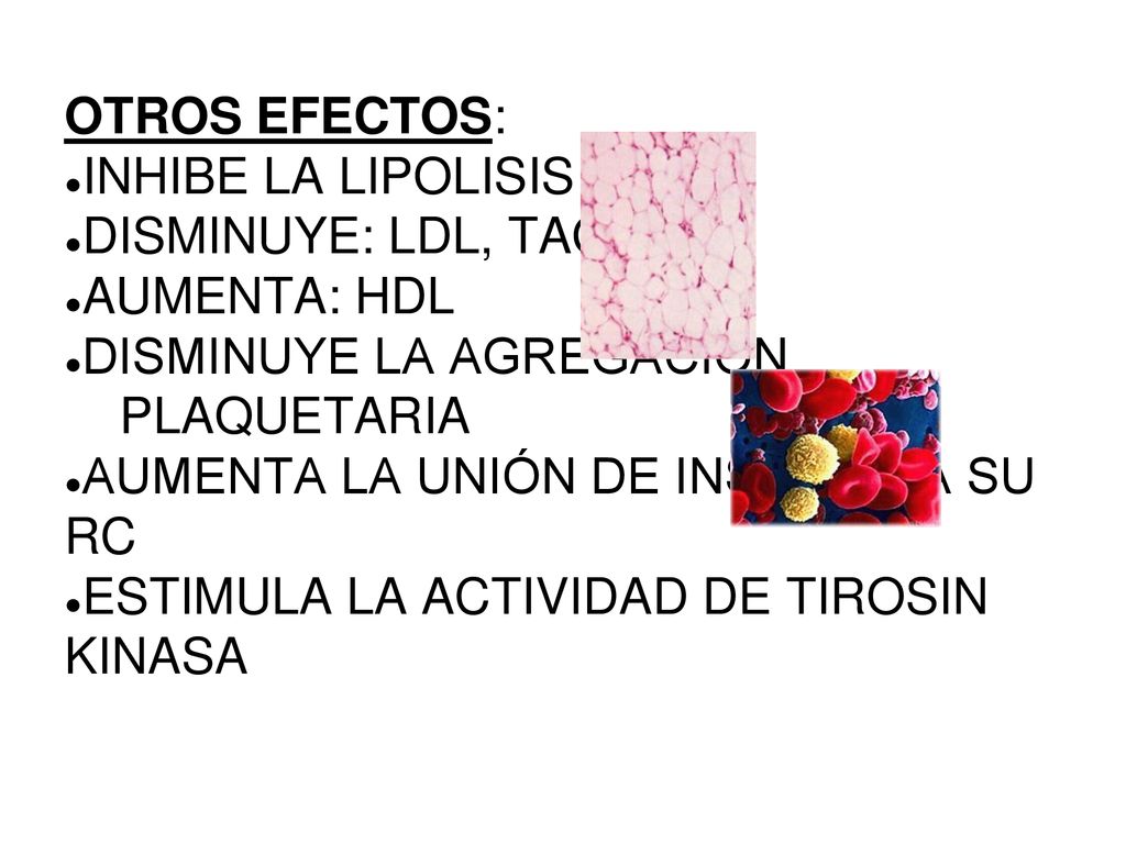 OTROS EFECTOS: INHIBE LA LIPOLISIS. DISMINUYE: LDL, TAG. AUMENTA: HDL. DISMINUYE LA AGREGACIÓN. PLAQUETARIA.
