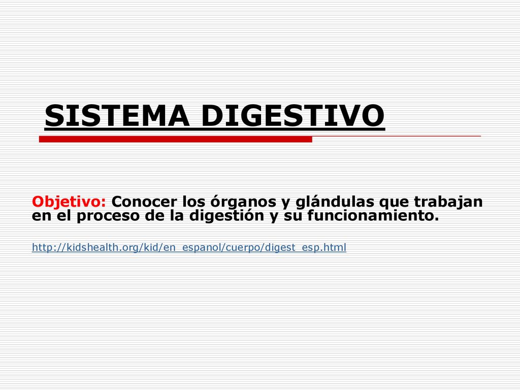 SISTEMA DIGESTIVO Objetivo: Conocer los órganos y glándulas que trabajan en el proceso de la digestión y su funcionamiento.