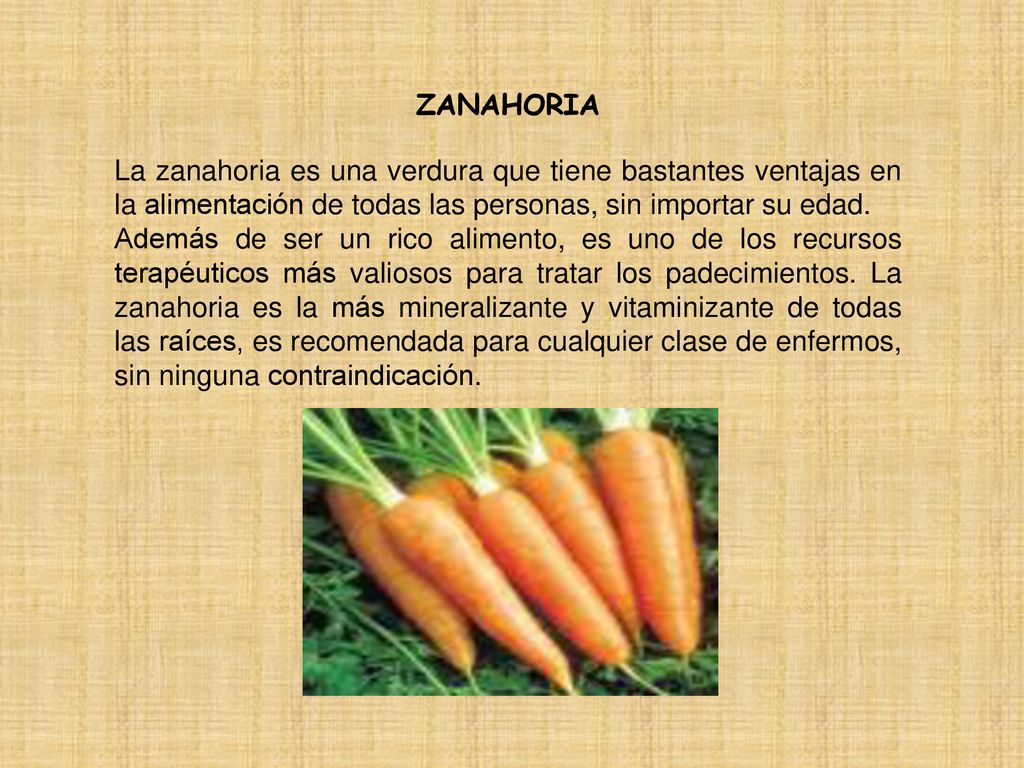 ZANAHORIA La zanahoria es una verdura que tiene bastantes ventajas en la alimentación de todas las personas, sin importar su edad.