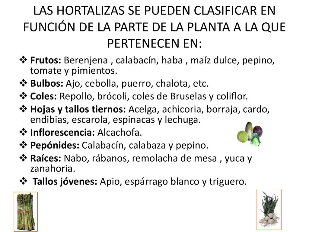LAS HORTALIZAS SE PUEDEN CLASIFICAR EN FUNCIÓN DE LA PARTE DE LA PLANTA A LA QUE PERTENECEN EN: