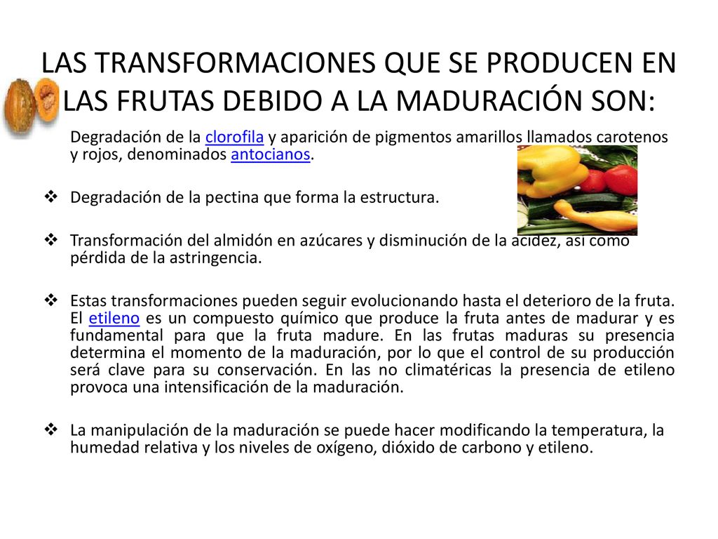 LAS TRANSFORMACIONES QUE SE PRODUCEN EN LAS FRUTAS DEBIDO A LA MADURACIÓN SON: