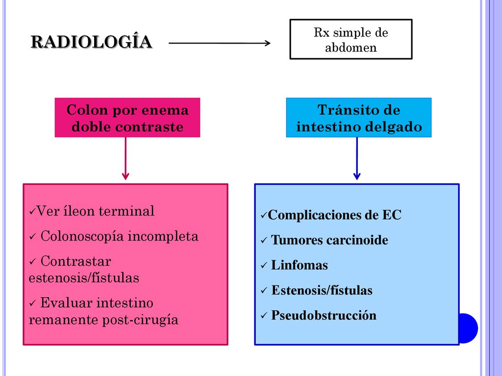 Colon por enema doble contraste Tránsito de intestino delgado
