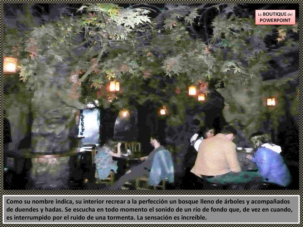 Como su nombre indica, su interior recrear a la perfección un bosque lleno de árboles y acompañados de duendes y hadas.