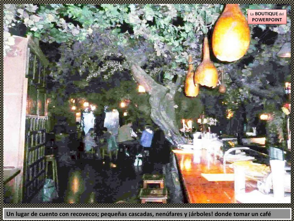 Un lugar de cuento con recovecos; pequeñas cascadas, nenúfares y ¡árboles! donde tomar un café