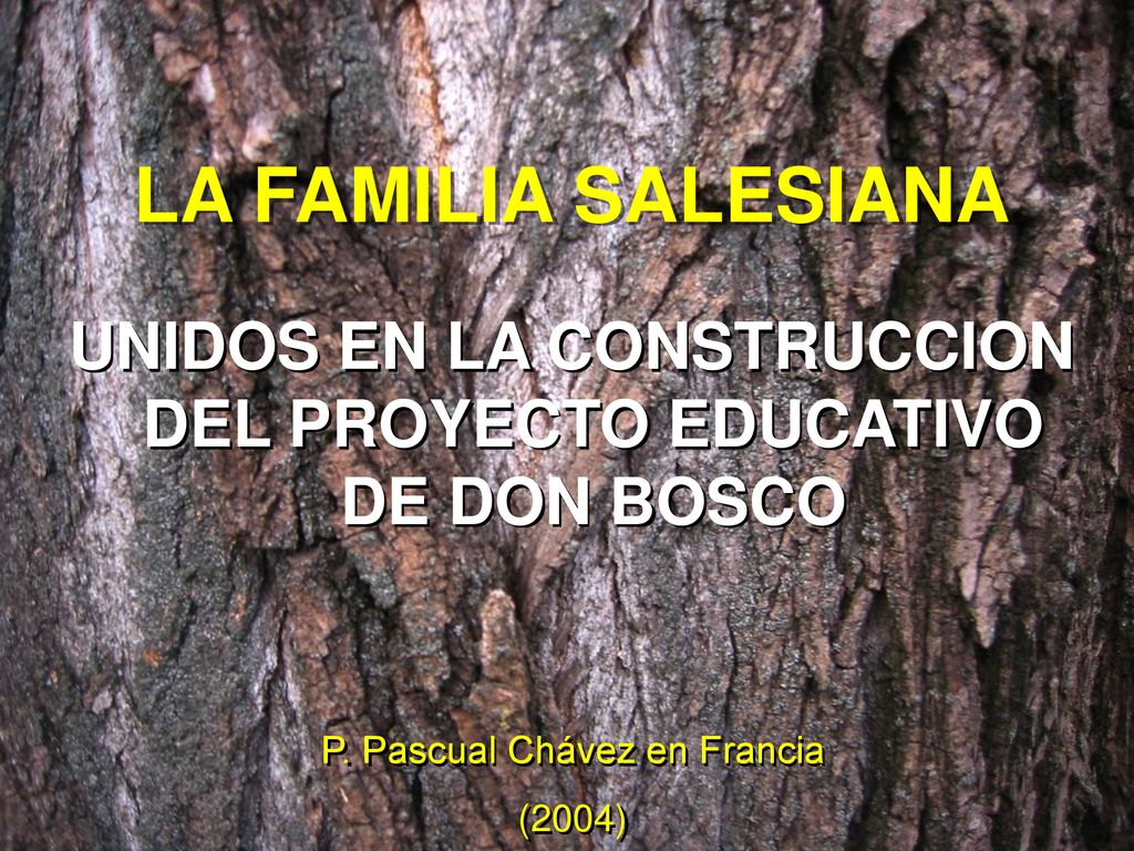 UNIDOS EN LA CONSTRUCCION DEL PROYECTO EDUCATIVO DE DON BOSCO