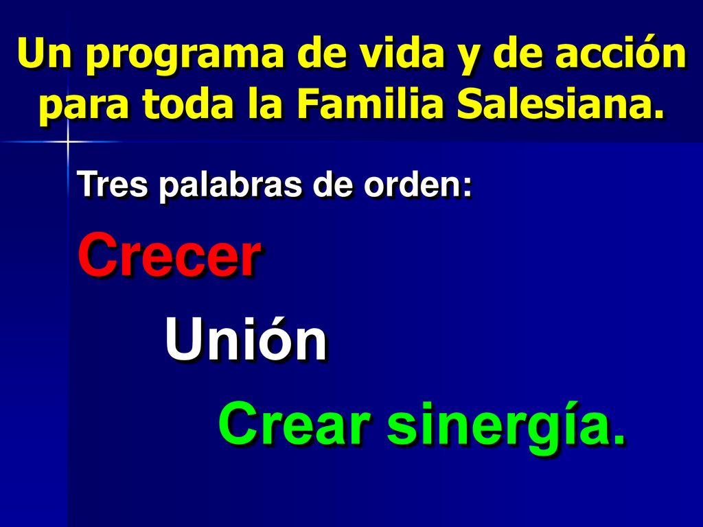 Un programa de vida y de acción para toda la Familia Salesiana.