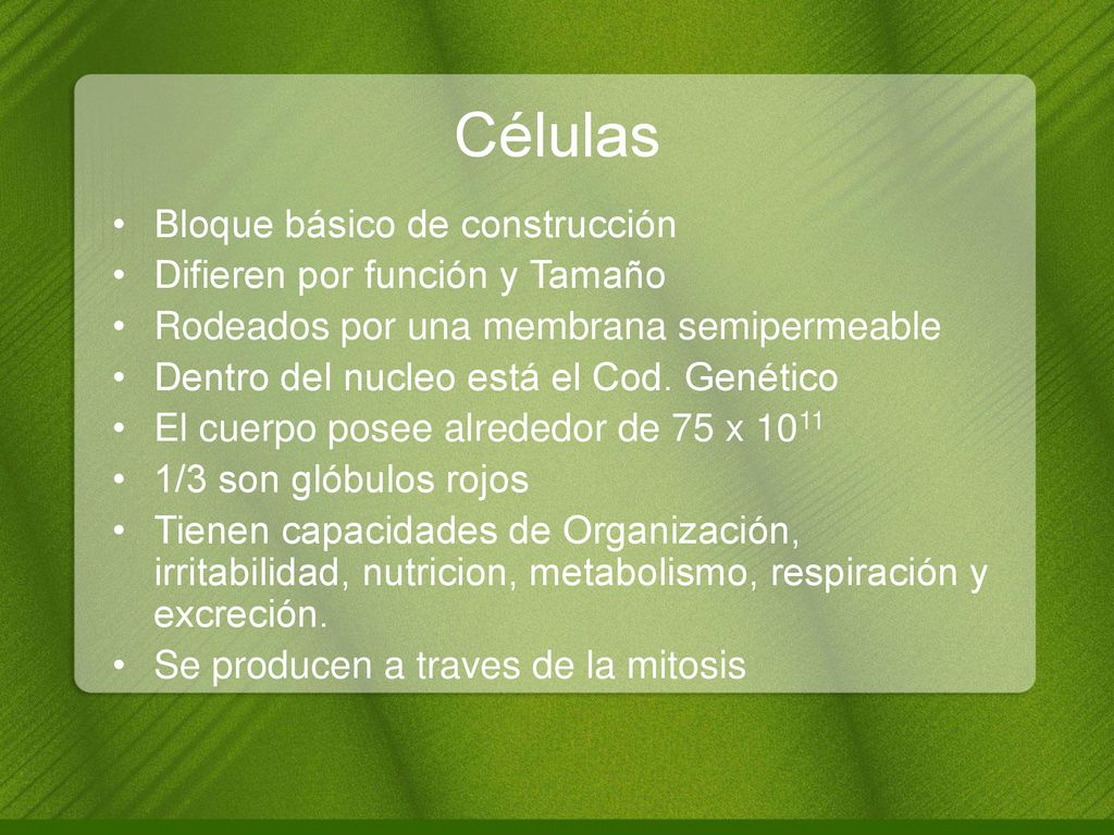 Células Bloque básico de construcción Difieren por función y Tamaño
