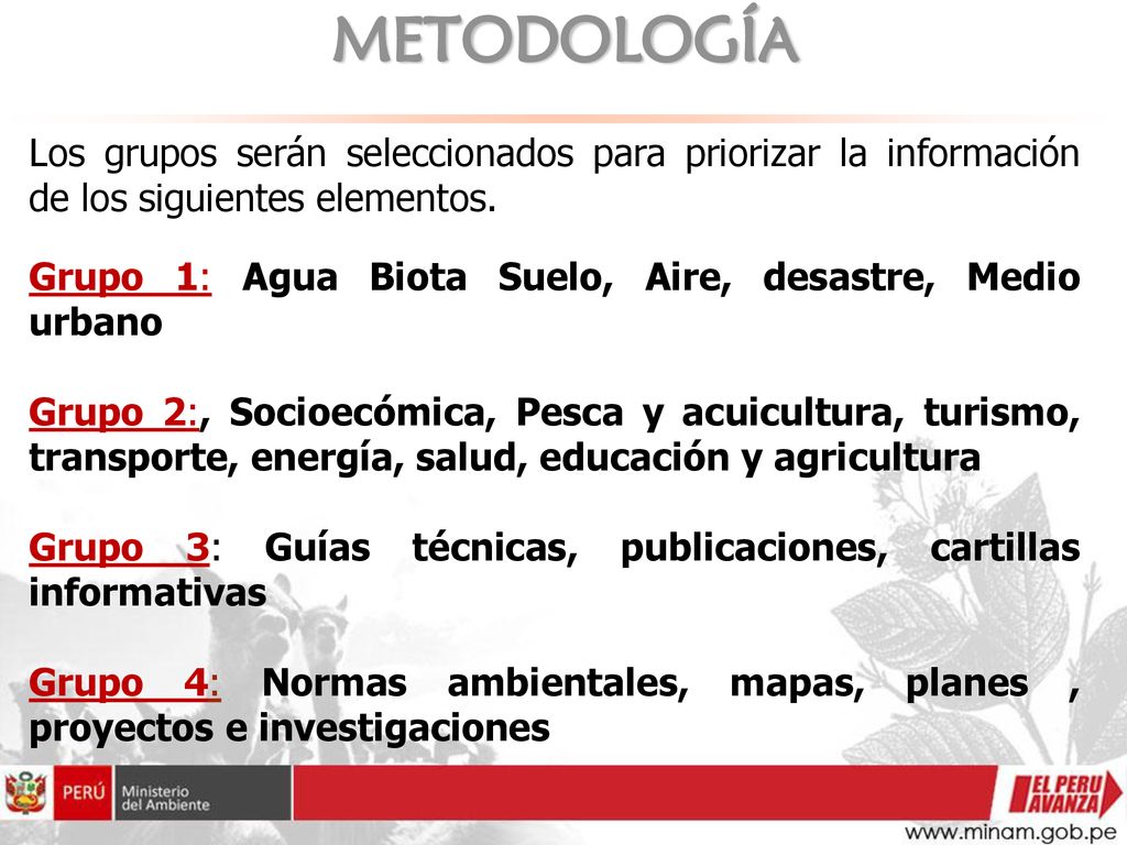 METODOLOGÍA Los grupos serán seleccionados para priorizar la información de los siguientes elementos.
